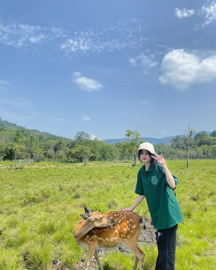làm quen với những người bạn đáng yêu tại vườn quốc gia ở Tây Nguyên làm quen với những người bạn đáng yêu tại vườn quốc gia ở Tây Nguyên